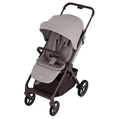 Детская прогулочная коляска Anex Ride (RD-01) Chrome 01